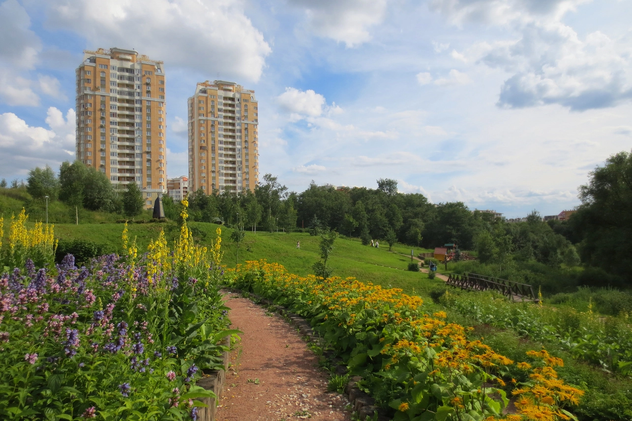 Аптекарский огород в парке «Долина реки Сходни в Куркино»