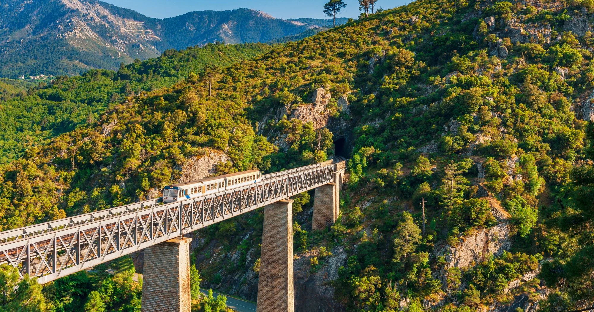 stock-photo-train-crossing-eiffel-viaduct-in-vecchio-corsica-france-1105997330