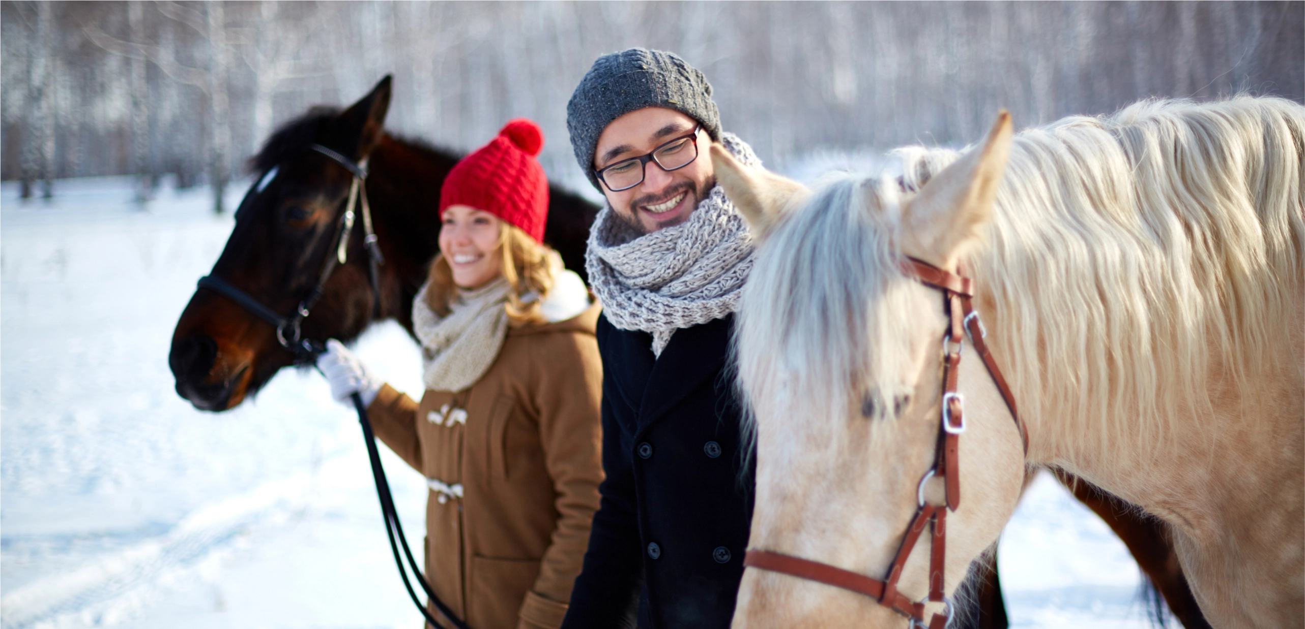 stock-photo-young-couple-walking-with-their-horses-in-the-park-354446132 1