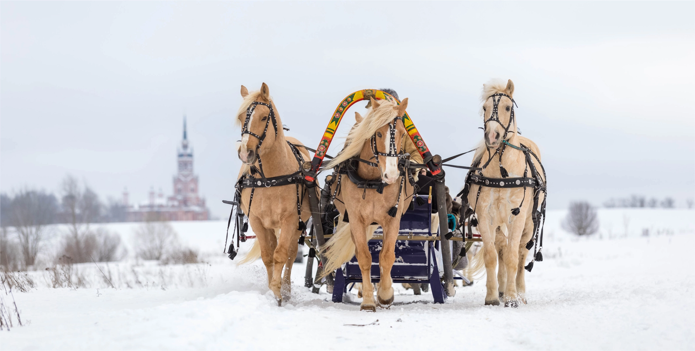 stock-photo-russian-traditional-fun-galloping-on-three-horses-in-winter-in-a-sleigh-three-horses-jump-1909694434 1ома