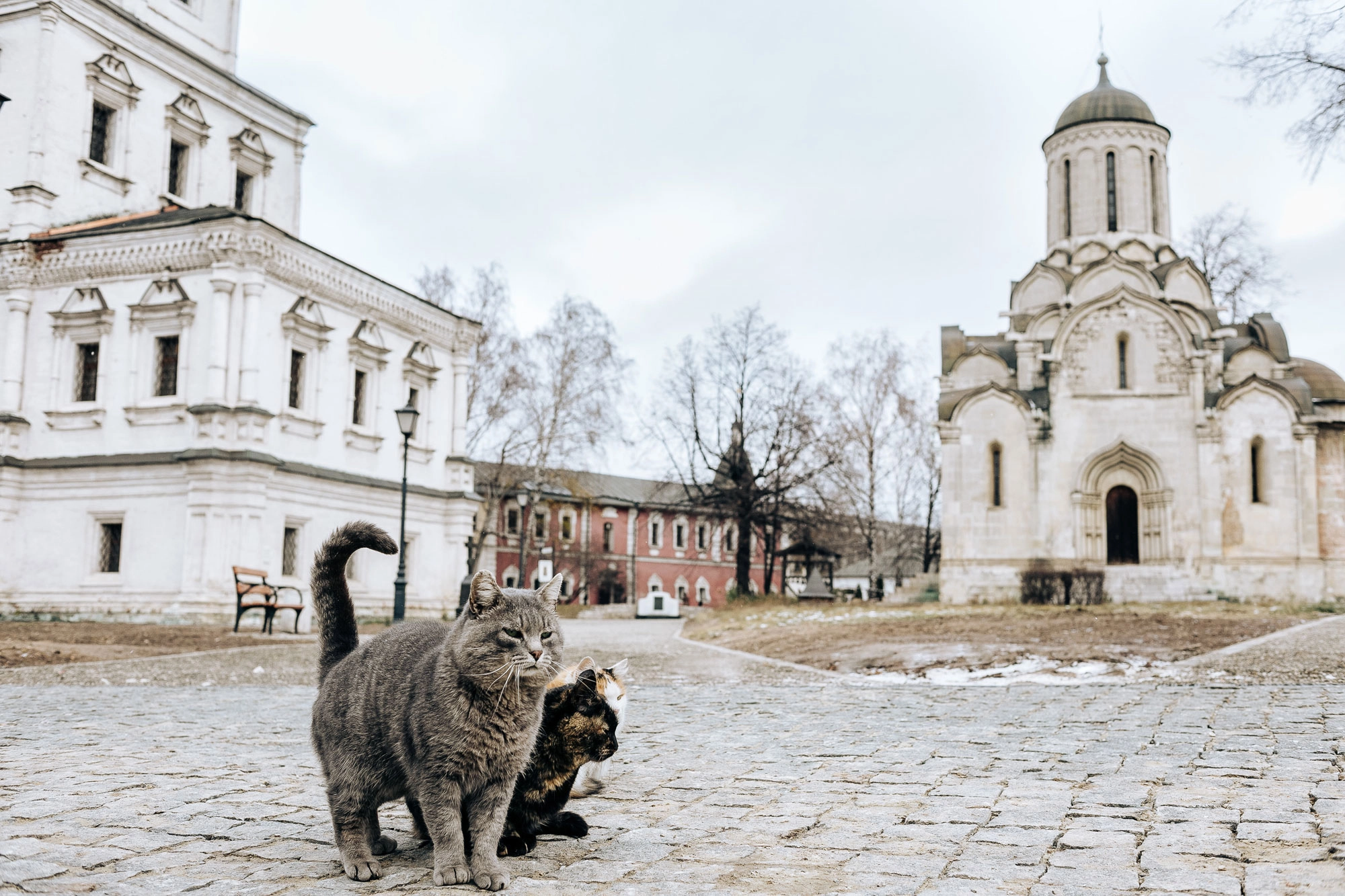 Что посмотреть и чем заняться в окрестностях станции метро «Римская»